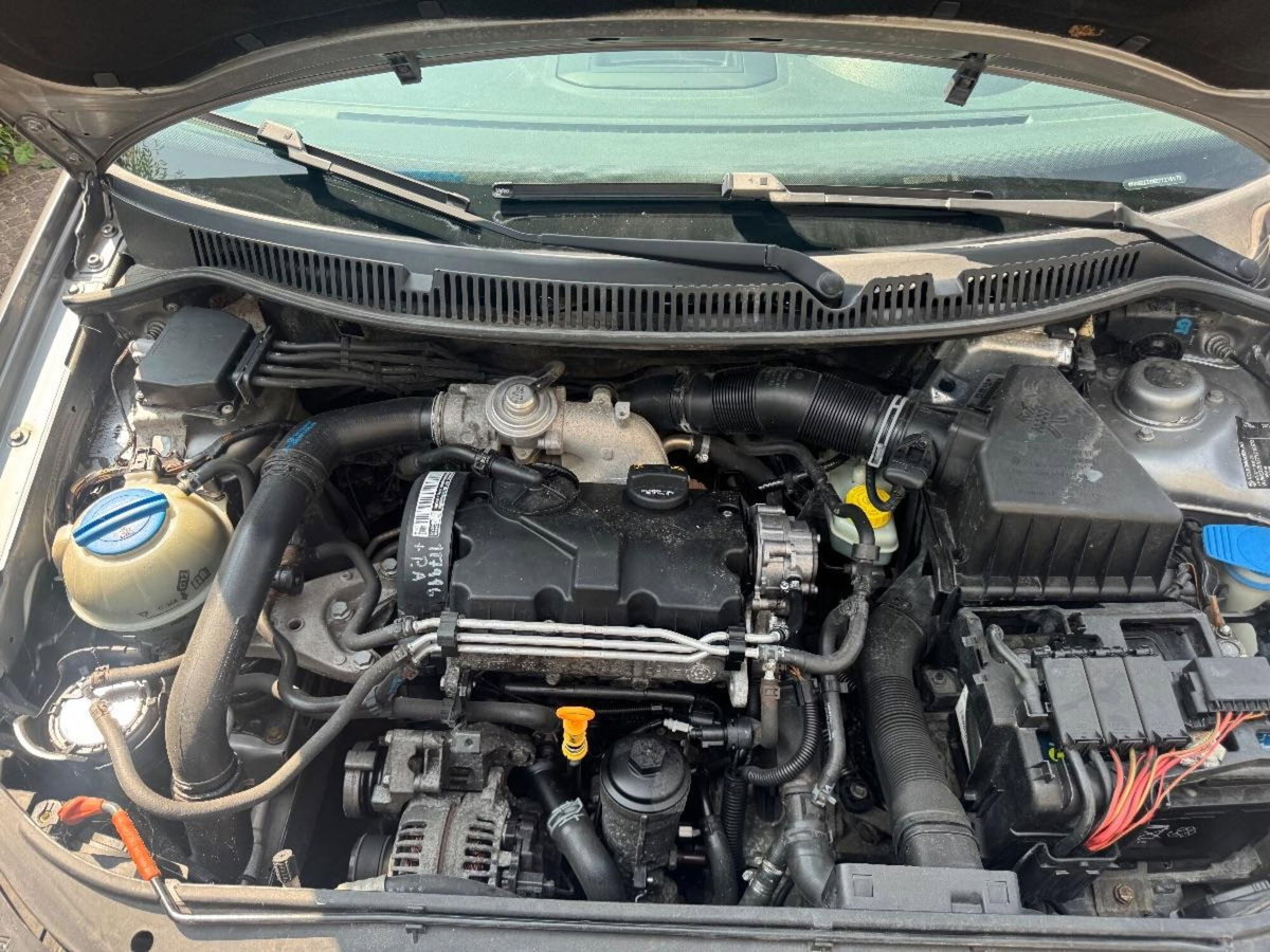 Volkswagen Polo 1.4/69CV TDI 5p. Comfortline (6)