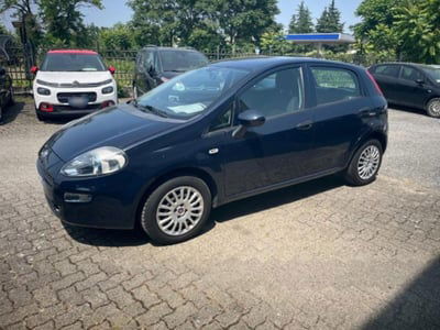 Fiat Punto 1.2 8V 5 porte Street usata