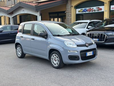 Fiat Panda 1.2 Easy usata