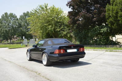 Mercedes-Benz SL 500 cat (10)
