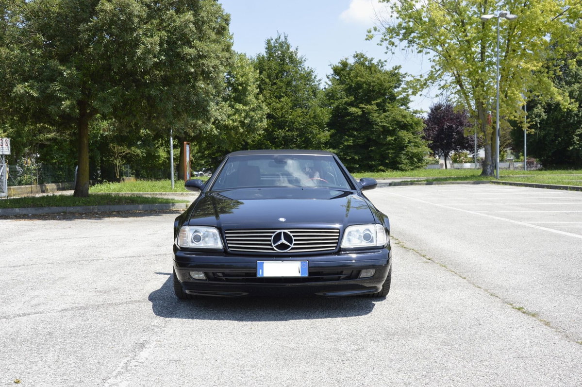 Mercedes-Benz SL 500 cat (11)