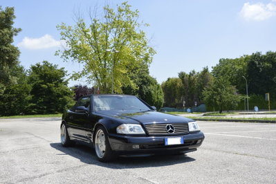 Mercedes-Benz SL 500 cat (12)