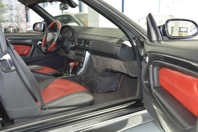 Mercedes-Benz SL 500 cat (14)