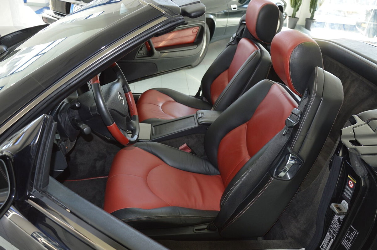 Mercedes-Benz SL 500 cat (15)