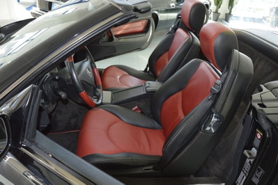 Mercedes-Benz SL 500 cat (15)