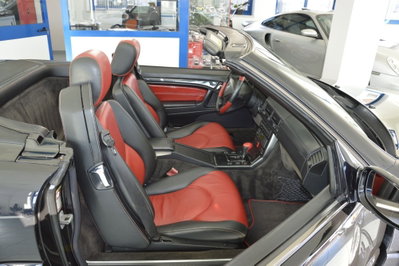 Mercedes-Benz SL 500 cat (16)