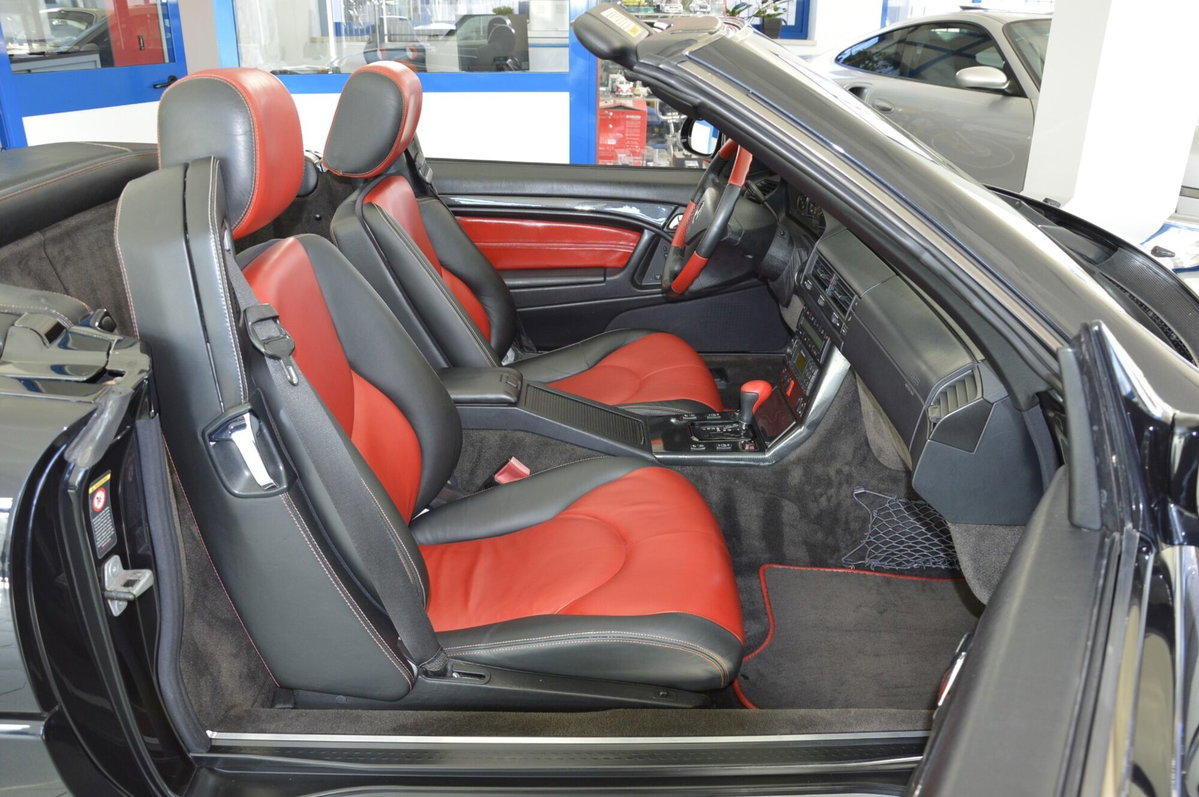 Mercedes-Benz SL 500 cat (19)