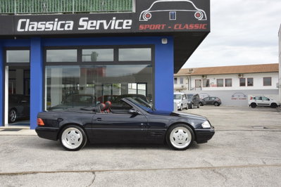 Mercedes-Benz SL 500 cat (2)