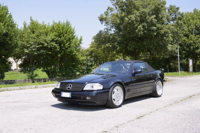 Mercedes-Benz SL 500 cat (3)