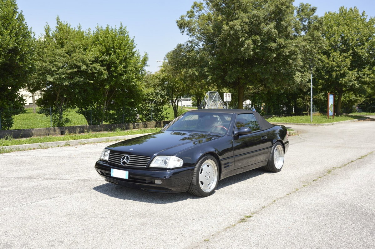 Mercedes-Benz SL 500 cat (5)