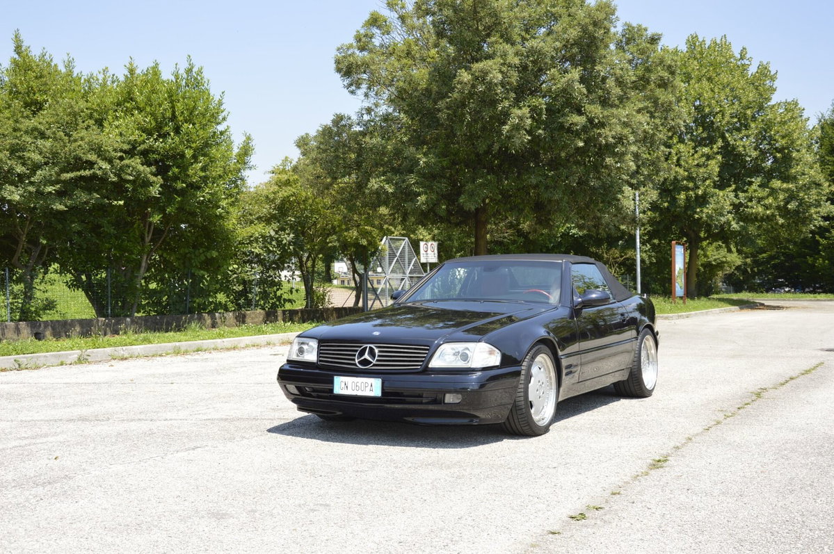 Mercedes-Benz SL 500 cat (6)