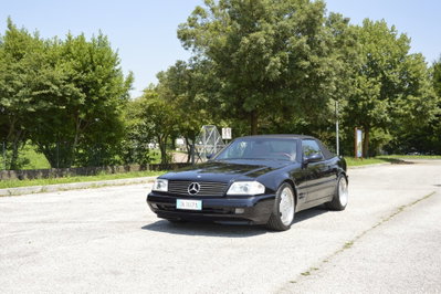 Mercedes-Benz SL 500 cat (6)