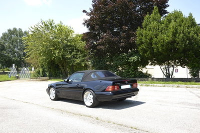Mercedes-Benz SL 500 cat (8)