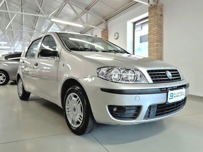 Fiat Punto Classic 1.2 5 porte Active usata