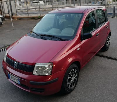 Fiat Panda 1.2 Dynamic usata