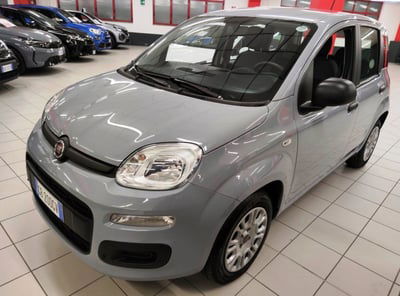 Fiat Panda 1.2 Easy usata