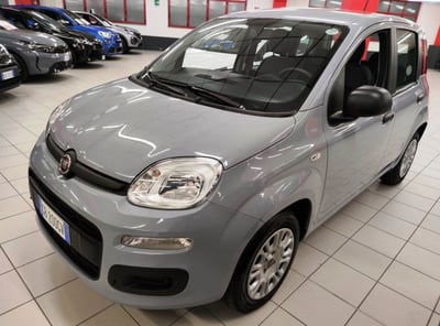 Fiat Panda 1.2 Easy usata