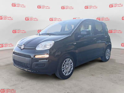 Fiat Panda Cross Cross 1.0 FireFly S&S Hybrid nuova