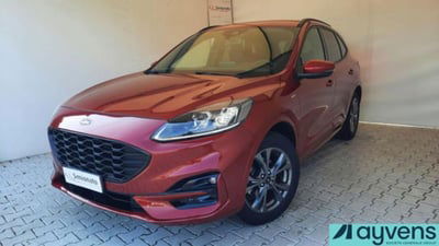 Ford Kuga 1.5 EcoBoost 150 CV 2WD ST-Line usata