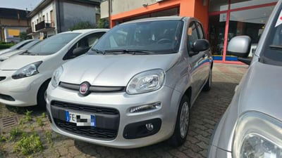 Fiat Panda 1.2 Easy usata