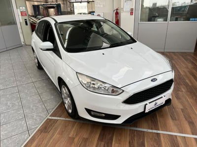 Ford Focus 1.5 TDCi 95 CV Start&Stop Business usata