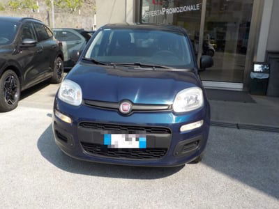 Fiat Panda 1.2 EasyPower Easy usata