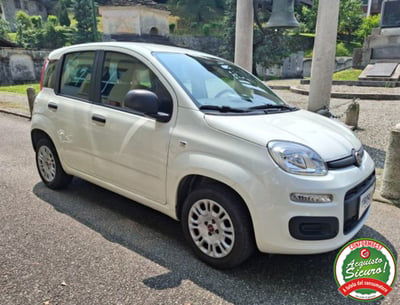 Fiat Panda 1.2 Easy usata