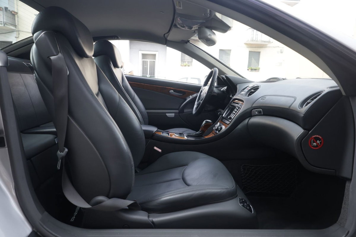 Mercedes-Benz SL 500 cat (10)
