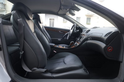 Mercedes-Benz SL 500 cat (10)