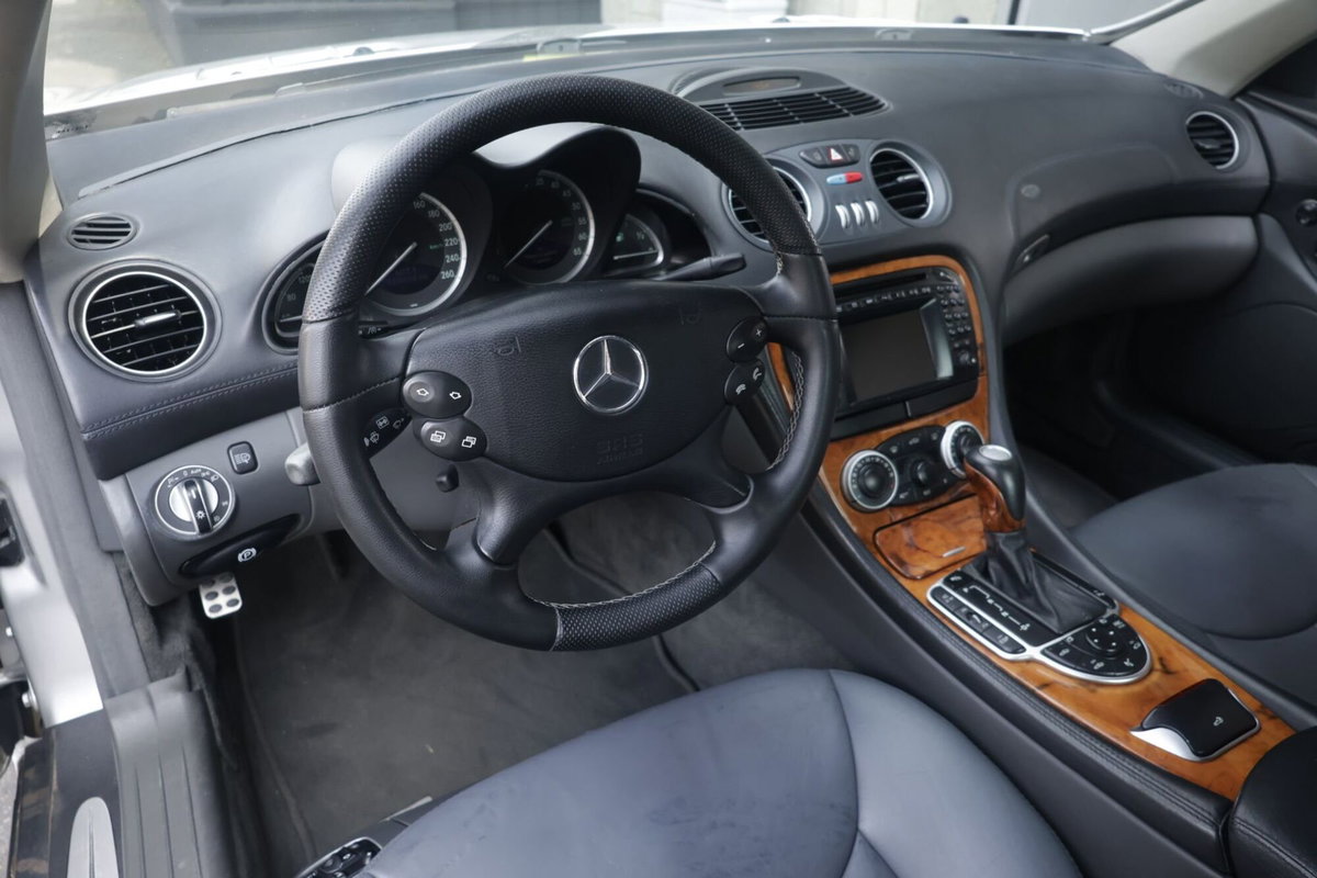 Mercedes-Benz SL 500 cat (14)