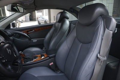 Mercedes-Benz SL 500 cat (16)
