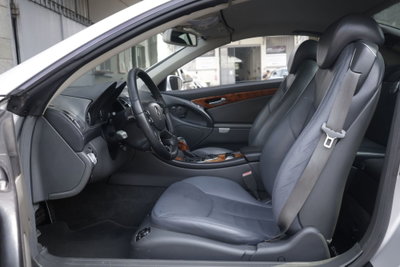 Mercedes-Benz SL 500 cat (17)