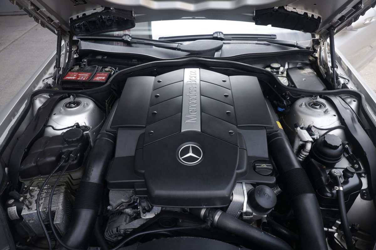 Mercedes-Benz SL 500 cat (18)