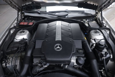 Mercedes-Benz SL 500 cat (18)