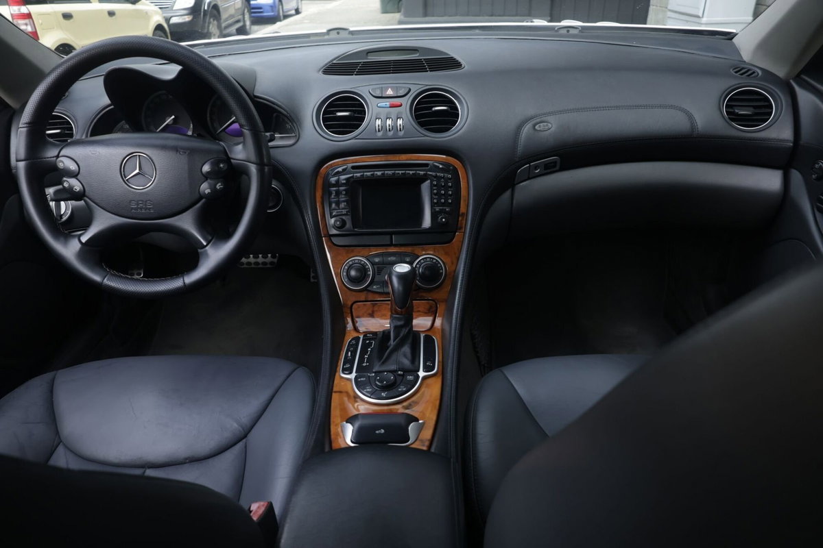 Mercedes-Benz SL 500 cat (2)