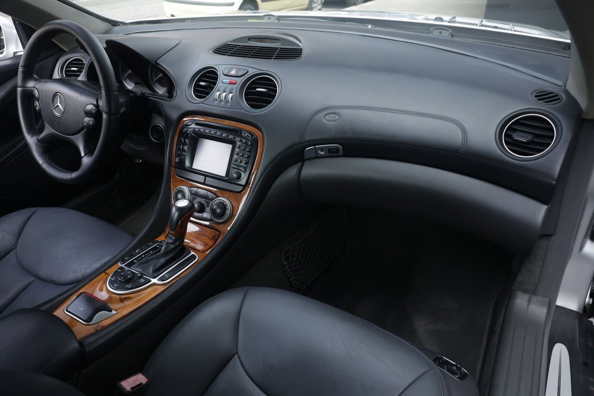 Mercedes-Benz SL 500 cat (8)
