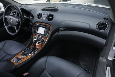 Mercedes-Benz SL 500 cat (8)