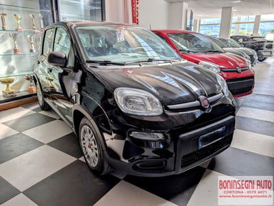 Fiat Panda 1.0 FireFly S&S Hybrid City Cross usata