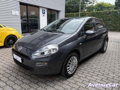 Fiat Punto 1.2 8V 5 porte Street usata
