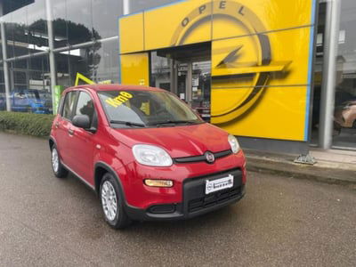 Fiat Panda 1.0 firefly hybrid s&s 70cv nuova