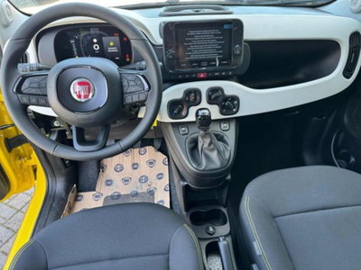 Fiat Panda 1.0 firefly hybrid s&s 70cv 5p.ti (8)