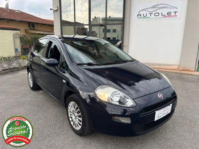 Fiat Punto 1.2 8V 5 porte Young usata