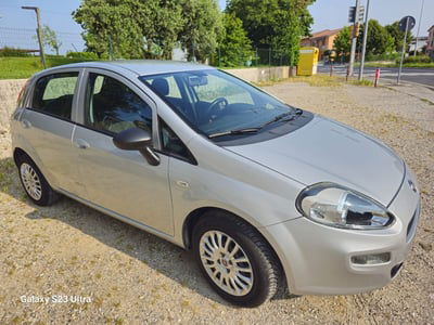 Fiat Punto 1.2 8V 5 porte Street usata