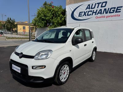 Fiat Panda Cross Cross 1.0 FireFly S&S Hybrid usata