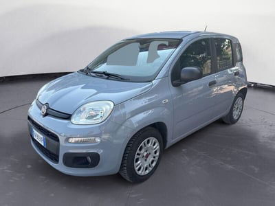 Fiat Panda 1.2 Easy usata