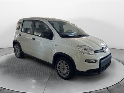 Fiat Panda Cross Cross 1.0 FireFly S&S Hybrid nuova
