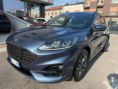 Ford Kuga 2.0 EcoBlue 120 CV aut. 2WD ST-Line X usata