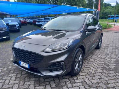 Ford Kuga 2.0 EcoBlue 120 CV aut. 2WD ST-Line X usata