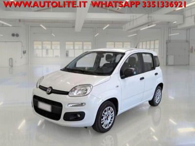 Fiat Panda 1.2 Easy usata