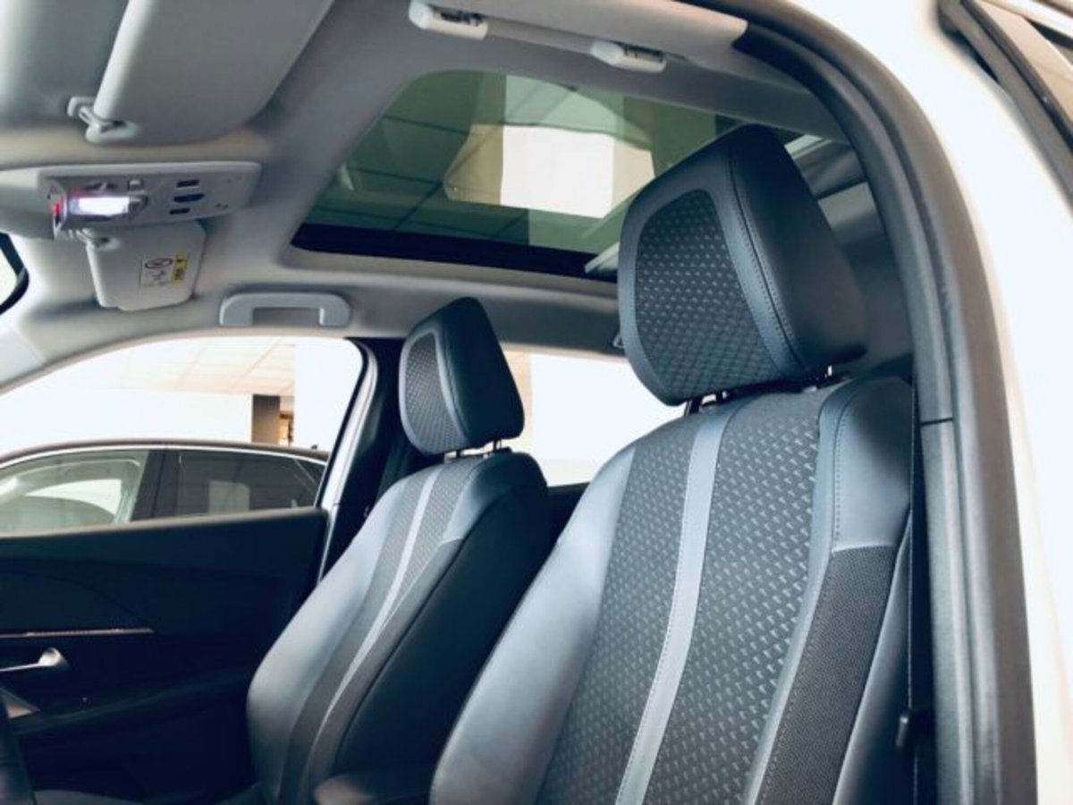 Peugeot 2008 BlueHDi 100 S&S Allure Navi Pack (6)